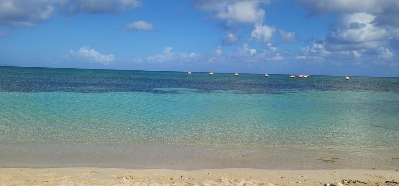 Airport Beach Hotel 몬테고 베이 외부 사진